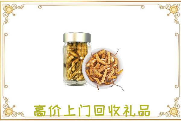 屯昌县周边回收虫草